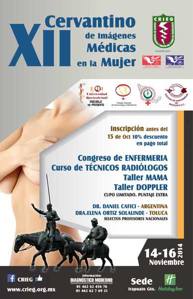 New poster cervantino 2014