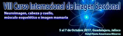 Viii curso imagen seccional